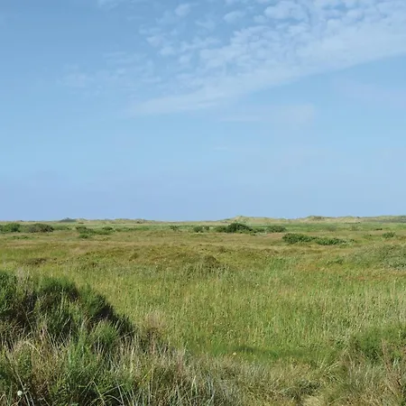 Lakolk Iv Denmark